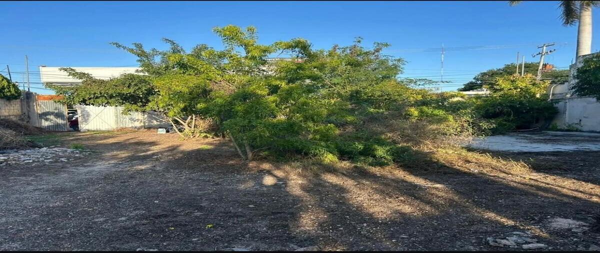 Foto de terreno habitacional en renta en  , circuito colonias, mérida, yucatán, 0 No. 04