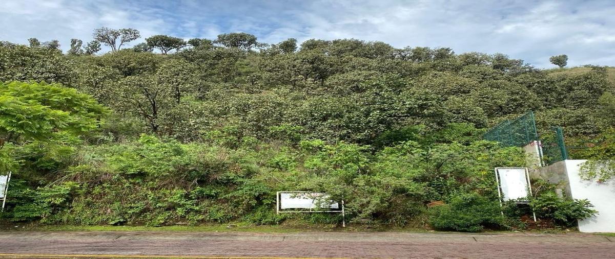 Foto de terreno habitacional en venta en circuito de las flores poniente , bugambilias, zapopan, jalisco, 27739045 No. 03