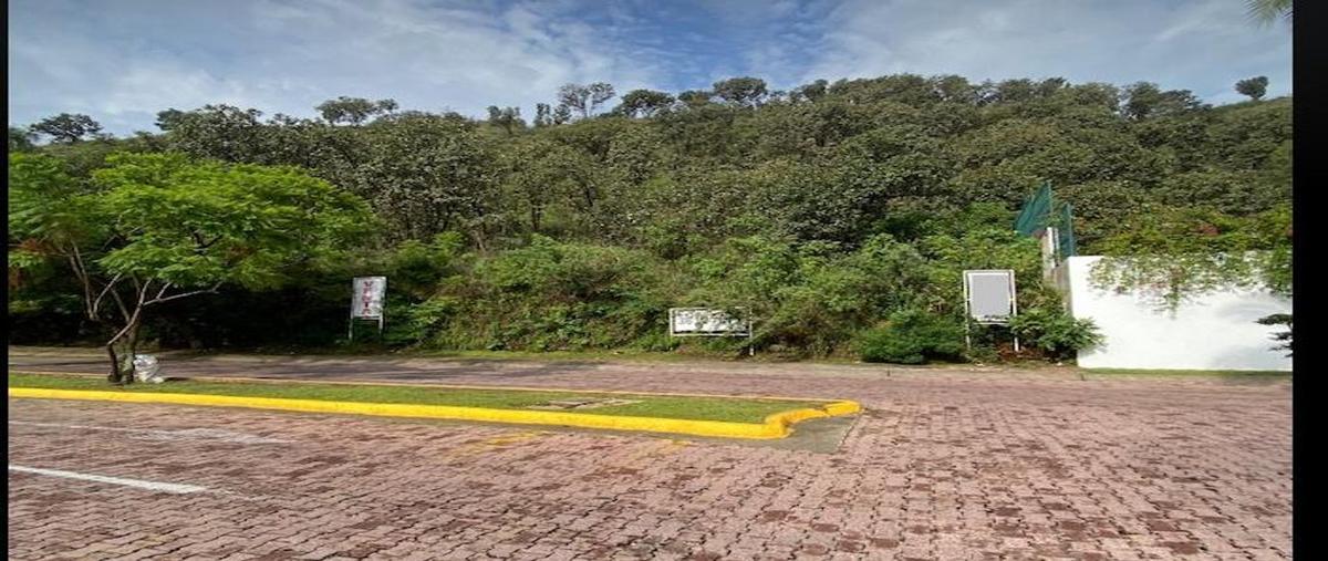 Foto de terreno habitacional en venta en circuito de las flores poniente , bugambilias, zapopan, jalisco, 27739057 No. 05