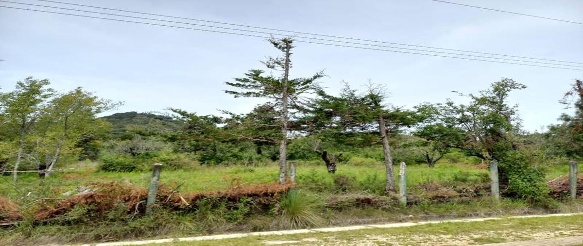Foto de terreno comercial en venta en circuito de las peras , la quinta san francisco, san cristóbal de las casas, chiapas, 25238449 No. 02