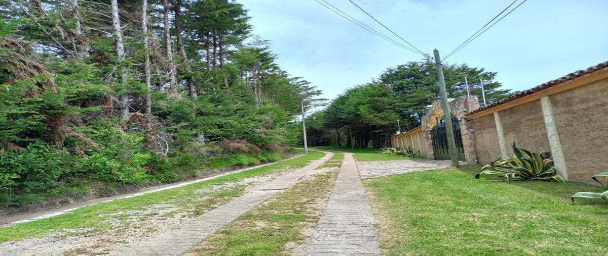 Foto de terreno comercial en venta en circuito de las peras , la quinta san francisco, san cristóbal de las casas, chiapas, 25238449 No. 03