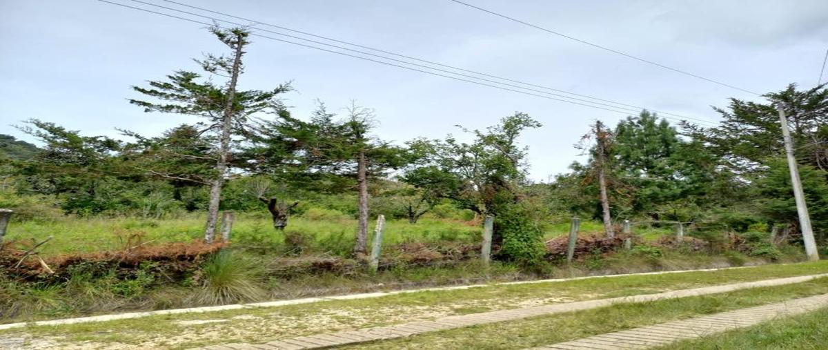 Foto de terreno comercial en venta en circuito de las peras , la quinta san francisco, san cristóbal de las casas, chiapas, 25238449 No. 05