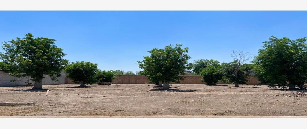 Foto de terreno habitacional en circuito del vergel , la barranca, torreón, coahuila de zaragoza, 26535012 foto 04 Foto de terreno habitacional en venta en circuito del vergel , la barranca, torreón, coahuila de zaragoza, 26535012 No. 04