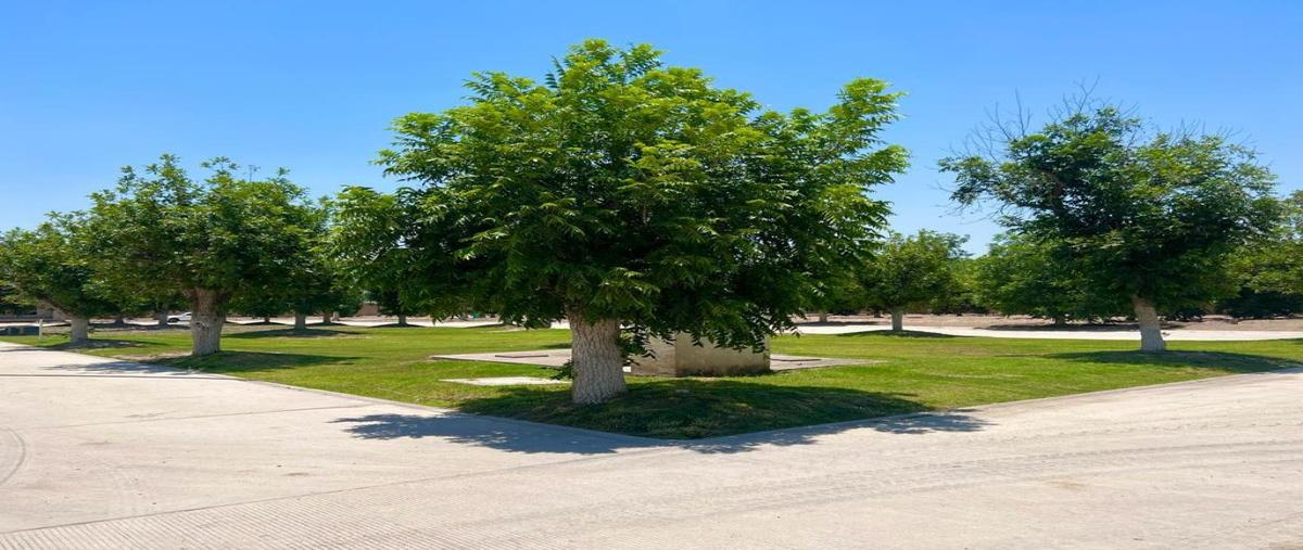 Foto de terreno habitacional en circuito del vergel , la barranca, torreón, coahuila de zaragoza, 26535012 foto 05 Foto de terreno habitacional en venta en circuito del vergel , la barranca, torreón, coahuila de zaragoza, 26535012 No. 05