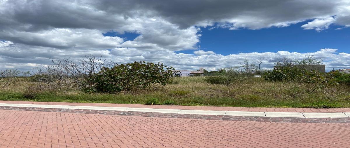 Foto de terreno habitacional en venta en circuito fresno , el llanito, apaseo el alto, guanajuato, 0 No. 03