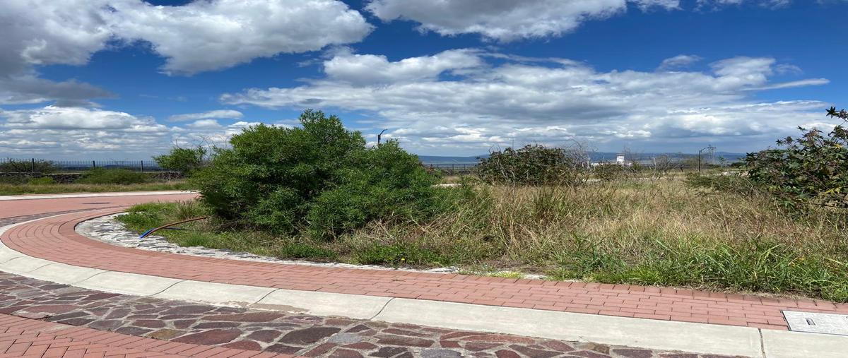 Foto de terreno habitacional en venta en circuito fresno , el llanito, apaseo el alto, guanajuato, 0 No. 05