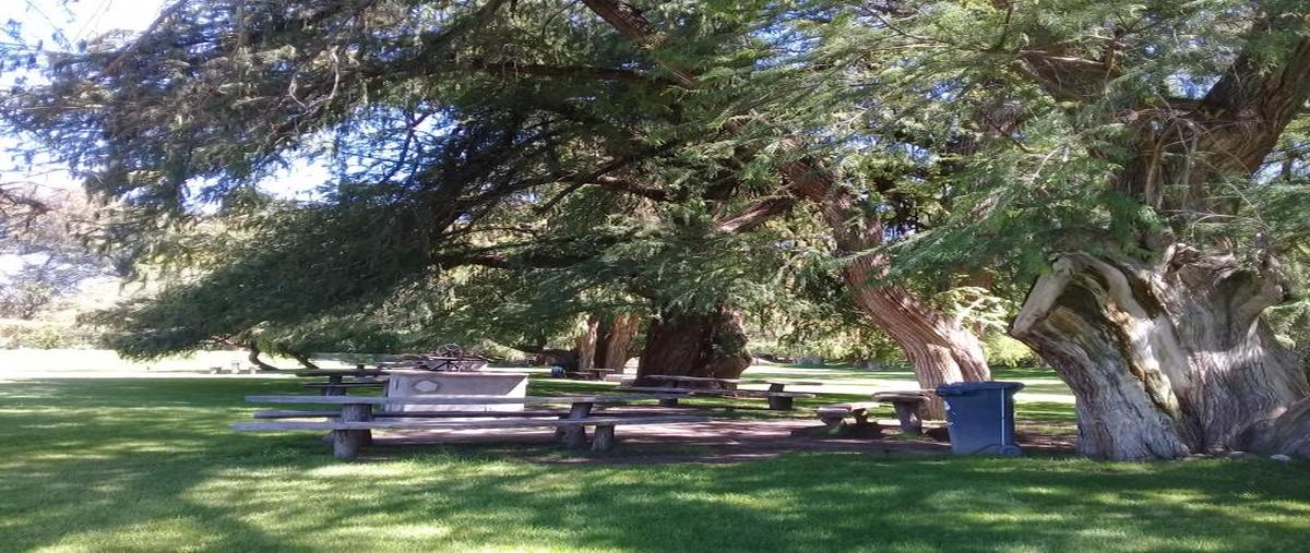 Foto de terreno habitacional en venta en circuito interior 000, cuauhtémoc (las palomas), aguascalientes, aguascalientes, 0 No. 04