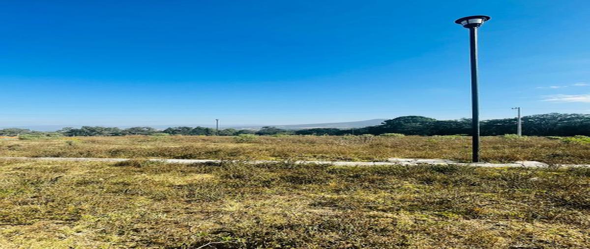 Foto de terreno habitacional en venta en circuito jardin real , mazamitla, mazamitla, jalisco, 24938421 No. 01