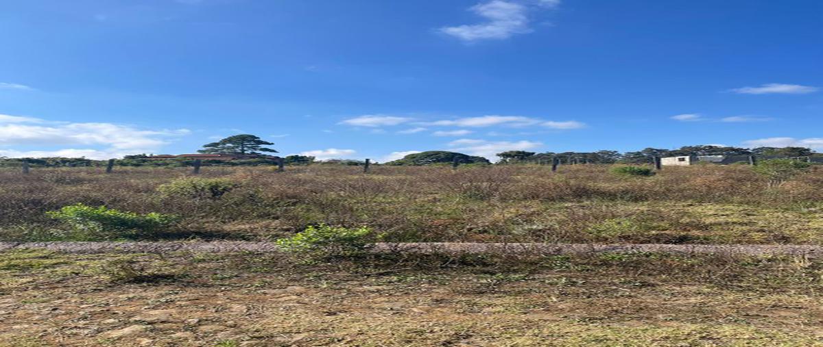 Foto de terreno habitacional en venta en circuito jardin real , mazamitla, mazamitla, jalisco, 24938421 No. 02