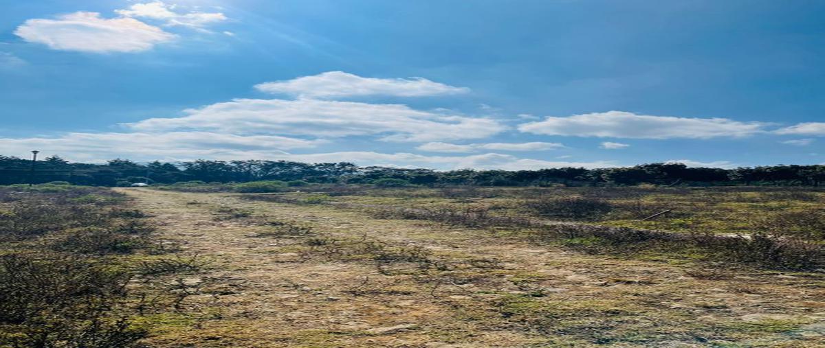 Foto de terreno habitacional en venta en circuito jardin real , mazamitla, mazamitla, jalisco, 24938421 No. 03