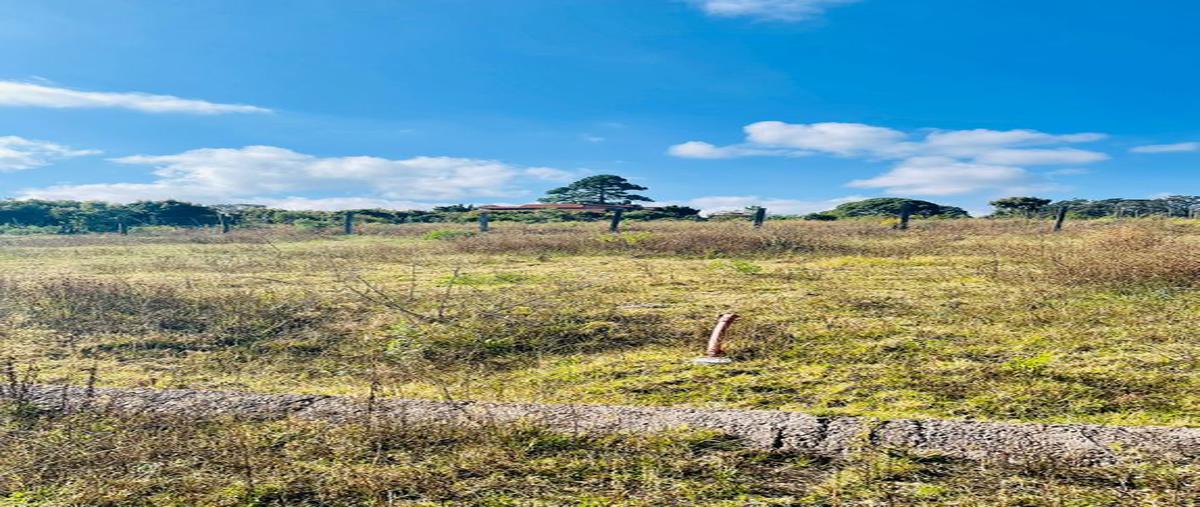 Foto de terreno habitacional en venta en circuito jardin real , mazamitla, mazamitla, jalisco, 24938421 No. 05
