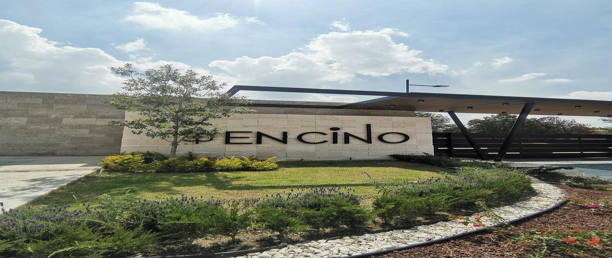 Foto de terreno habitacional en venta en circuito lince sur , bugambilias, zapopan, jalisco, 0 No. 05