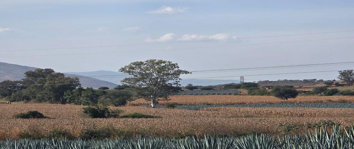 Foto de terreno habitacional en venta en circuito metropolitano , cuexcomatitlán, tlajomulco de zúñiga, jalisco, 0 No. 03