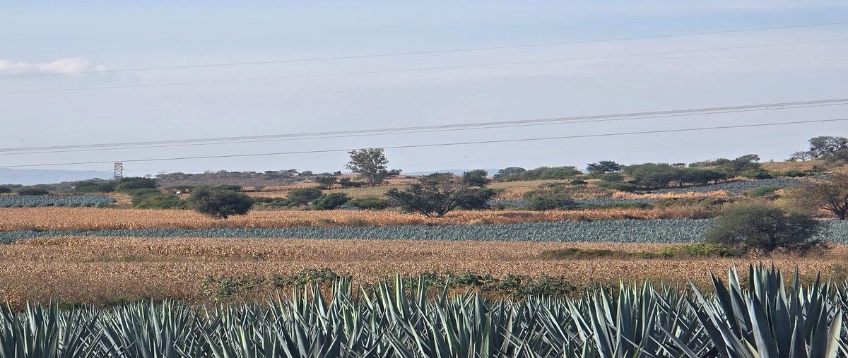 Foto de terreno habitacional en venta en circuito metropolitano , cuexcomatitlán, tlajomulco de zúñiga, jalisco, 0 No. 04