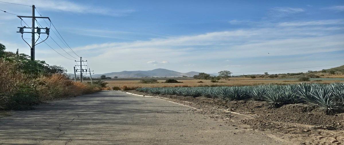 Foto de terreno habitacional en venta en circuito metropolitano , cuexcomatitlán, tlajomulco de zúñiga, jalisco, 0 No. 05