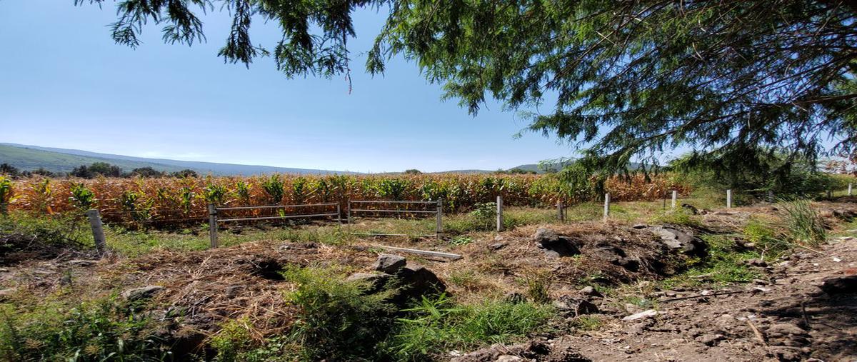 Foto de terreno habitacional en circuito metropolitano sur , valle de tlajomulco, tlajomulco de zúñiga, jalisco, 19210305 foto 03 Foto de terreno habitacional en venta en circuito metropolitano sur , valle de tlajomulco, tlajomulco de zúñiga, jalisco, 19210305 No. 03