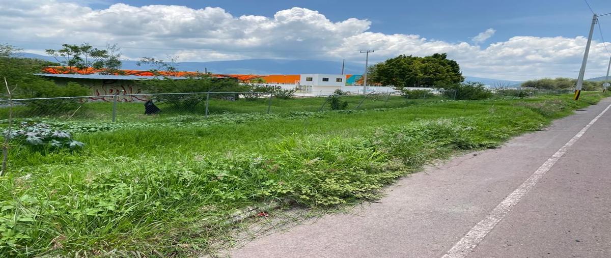 Foto de terreno comercial en renta en circuito metropolitano vicente fernandez gomez , cajititlán, tlajomulco de zúñiga, jalisco, 0 No. 03