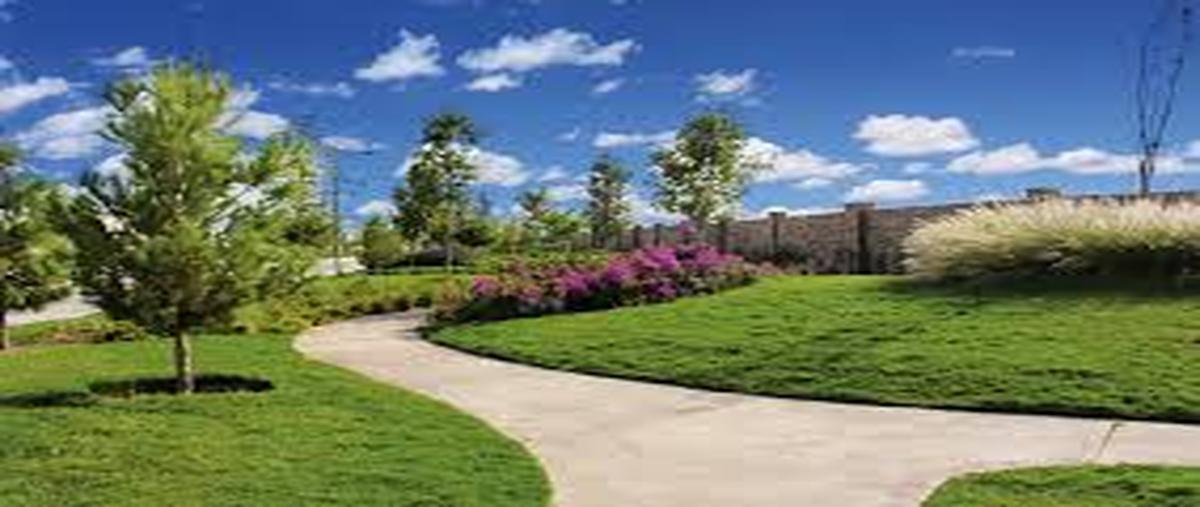 Foto de terreno habitacional en venta en circuito peras , altozano la nueva laguna, gómez palacio, durango, 28911891 No. 05