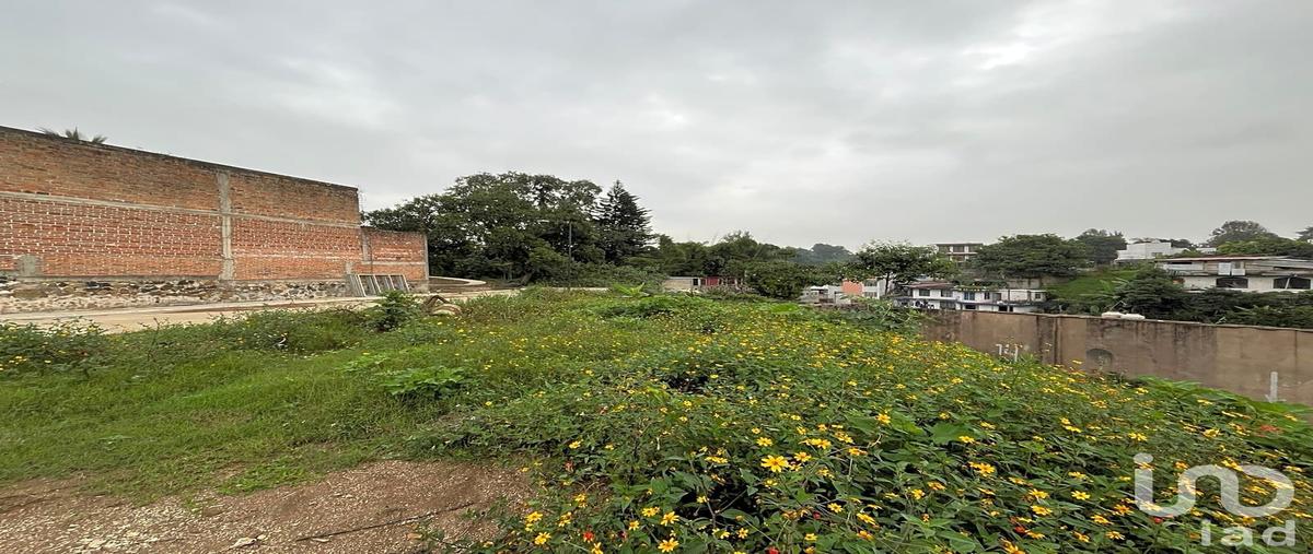Foto de terreno habitacional en venta en circuito planilla del café 121, coatepec centro, coatepec, veracruz de ignacio de la llave, 30668241 No. 04