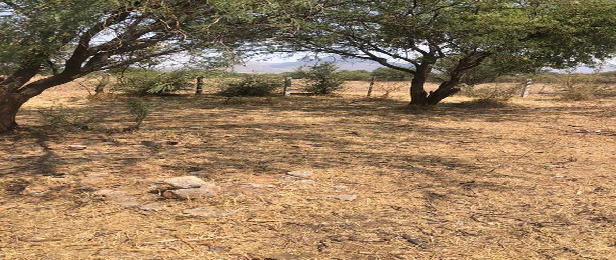 Foto de terreno habitacional en circuito santa tomas lote 15, la providencia, tlajomulco de zúñiga, jalisco, 0 foto 03 Foto de terreno habitacional en venta en circuito santa tomas lote 15, la providencia, tlajomulco de zúñiga, jalisco, 0 No. 03