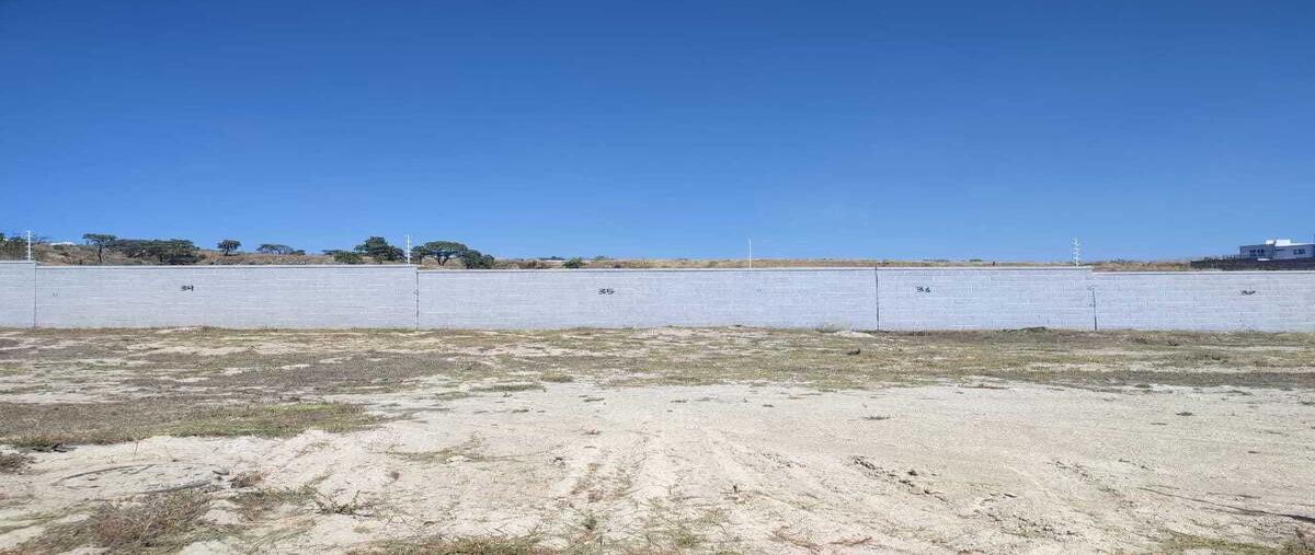 Foto de terreno habitacional en venta en circuito sauce , valle imperial, zapopan, jalisco, 29272035 No. 03