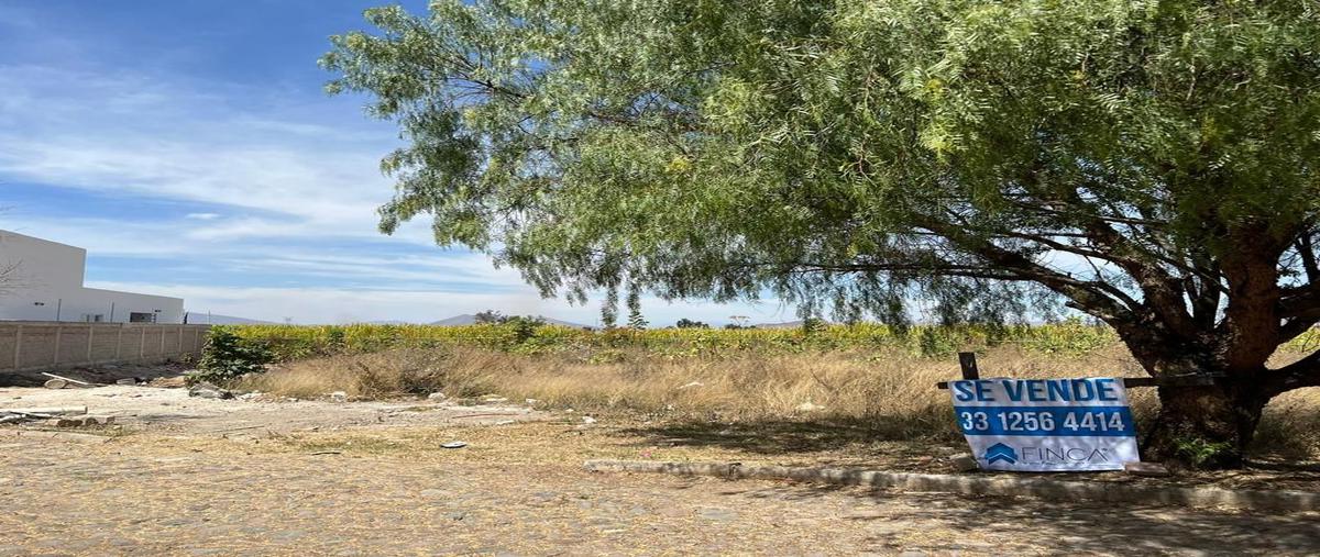 Foto de terreno habitacional en venta en circuito tala 13, huaxtla, el arenal, jalisco, 26450253 No. 04