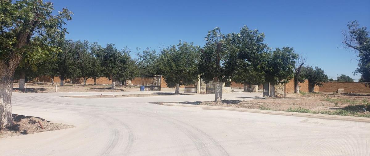 Foto de terreno habitacional en venta en circuito vergel , la barranca, torreón, coahuila de zaragoza, 17308318 No. 04