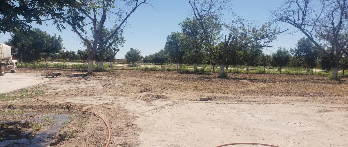 Foto de terreno habitacional en venta en circuito vergel , la barranca, torreón, coahuila de zaragoza, 17308318 No. 05