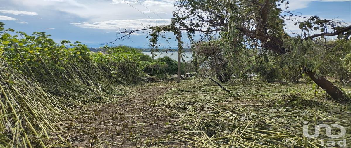 Foto de terreno habitacional en circunvalación 116, tequesquitengo, jojutla, morelos, 28725709 foto 03 Foto de terreno habitacional en venta en circunvalación 116, tequesquitengo, jojutla, morelos, 28725709 No. 03