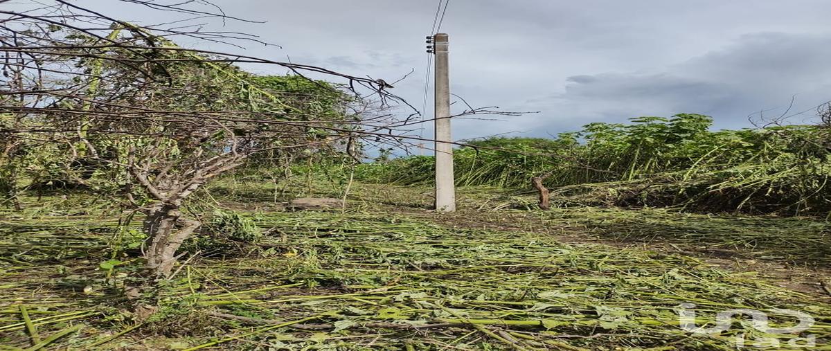 Foto de terreno habitacional en circunvalación 116, tequesquitengo, jojutla, morelos, 28725709 foto 04 Foto de terreno habitacional en venta en circunvalación 116, tequesquitengo, jojutla, morelos, 28725709 No. 04