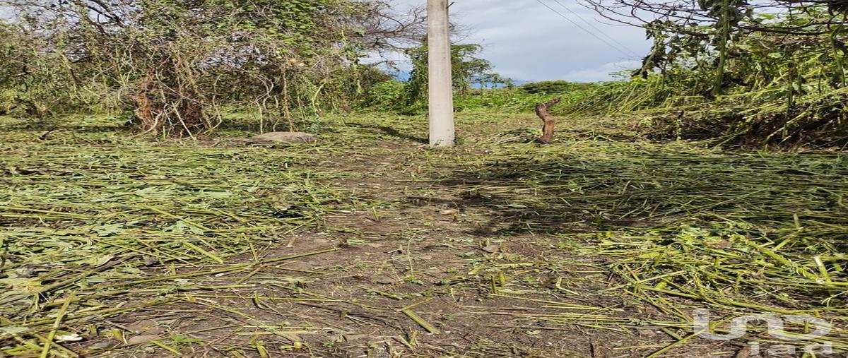 Foto de terreno habitacional en circunvalación 116, tequesquitengo, jojutla, morelos, 28725709 foto 05 Foto de terreno habitacional en venta en circunvalación 116, tequesquitengo, jojutla, morelos, 28725709 No. 05