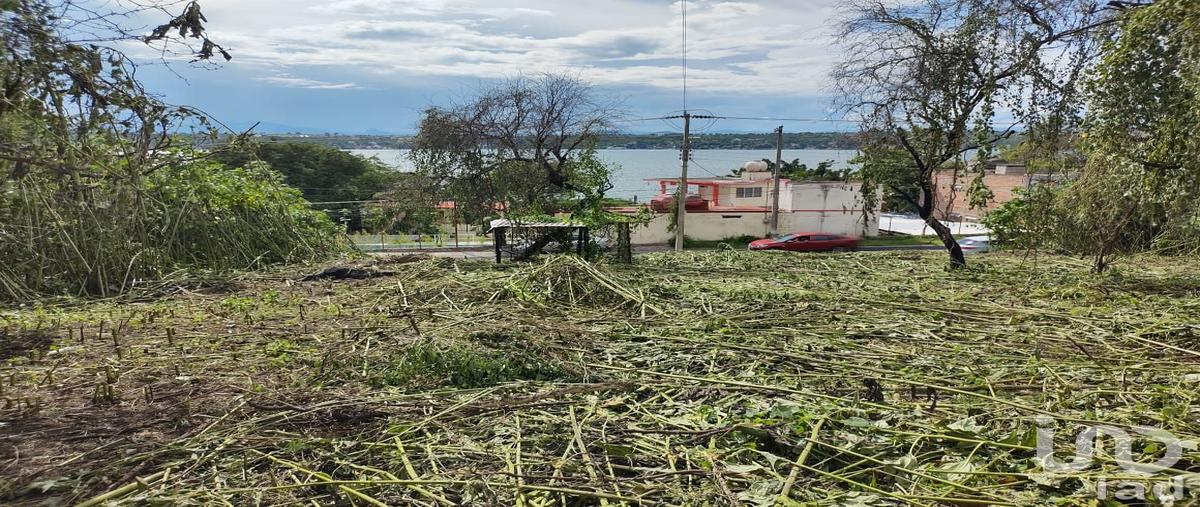 Foto de terreno habitacional en venta en circunvalación 69, tequesquitengo, jojutla, morelos, 28725709 No. 02