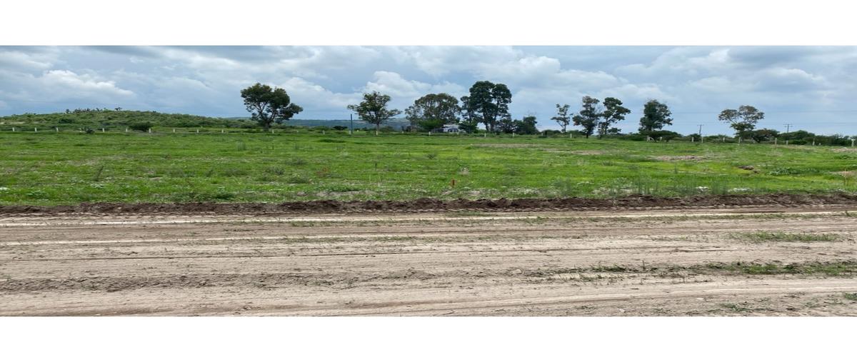 Foto de terreno habitacional en venta en  , circunvalación poniente, aguascalientes, aguascalientes, 0 No. 05