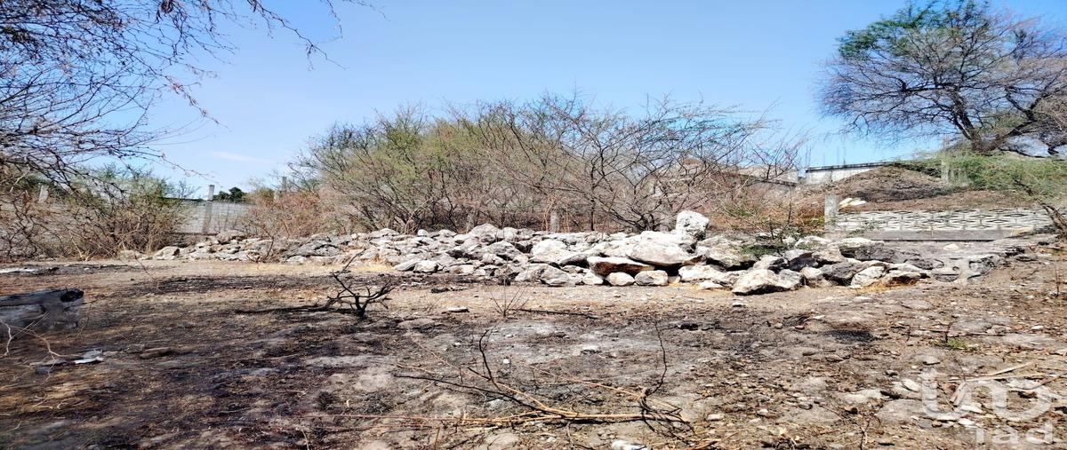 Foto de terreno comercial en circunvalacion primera seccion 94, tequesquitengo, jojutla, morelos, 31038259 foto 08 Foto de terreno comercial en venta en circunvalacion primera seccion 94, tequesquitengo, jojutla, morelos, 31038259 No. 08