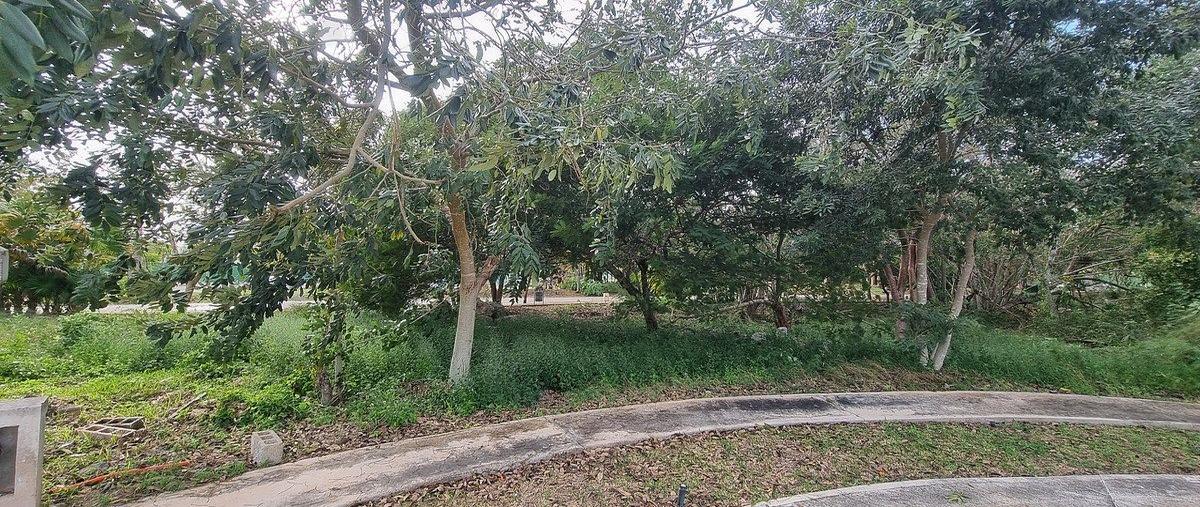Foto de terreno habitacional en venta en ciricote , parque natura, mérida, yucatán, 30698069 No. 05