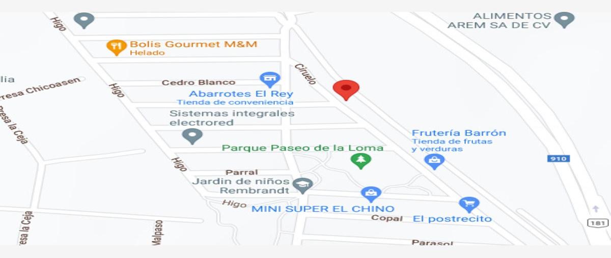 Foto de casa en venta en ciruelo 00, paseo de la loma, apodaca, nuevo león, 0 No. 04