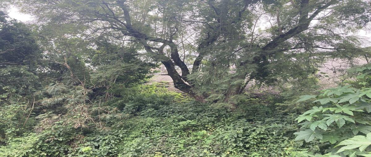 Foto de terreno habitacional en venta en citlalli mz01 lote45 barrio san miguel , san miguel, tepoztlán, morelos, 0 No. 03