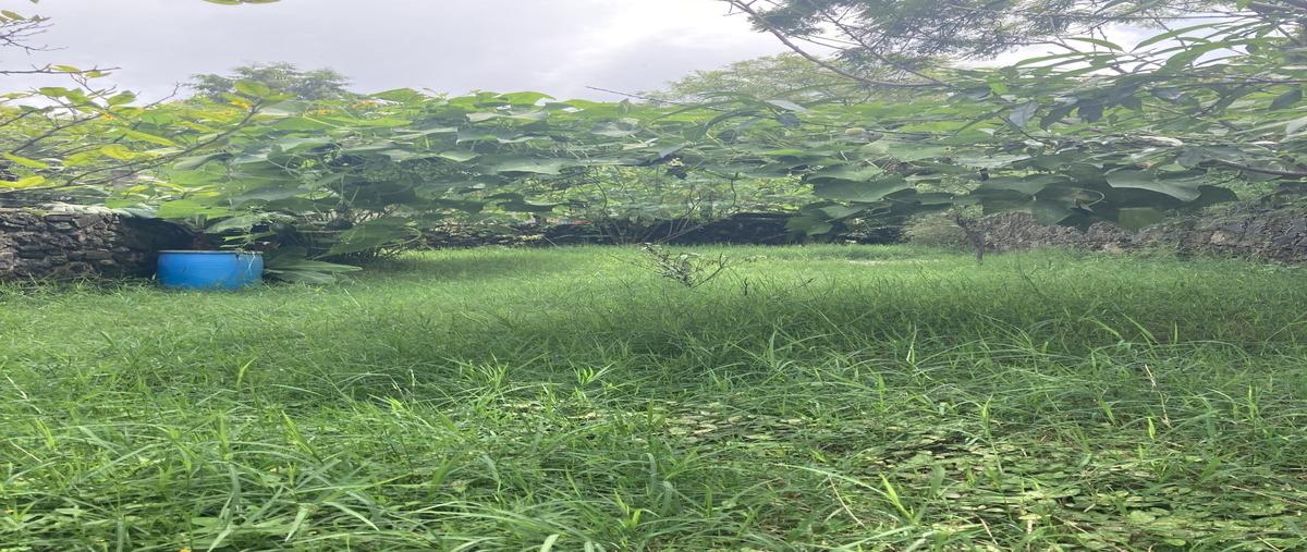 Foto de terreno habitacional en venta en citlalli mz01 lote45 barrio san miguel , san miguel, tepoztlán, morelos, 0 No. 05