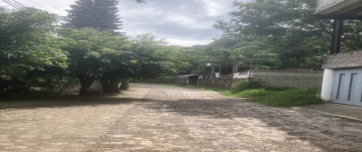 Foto de terreno habitacional en venta en citlalli , san miguel, tepoztlán, morelos, 0 No. 05