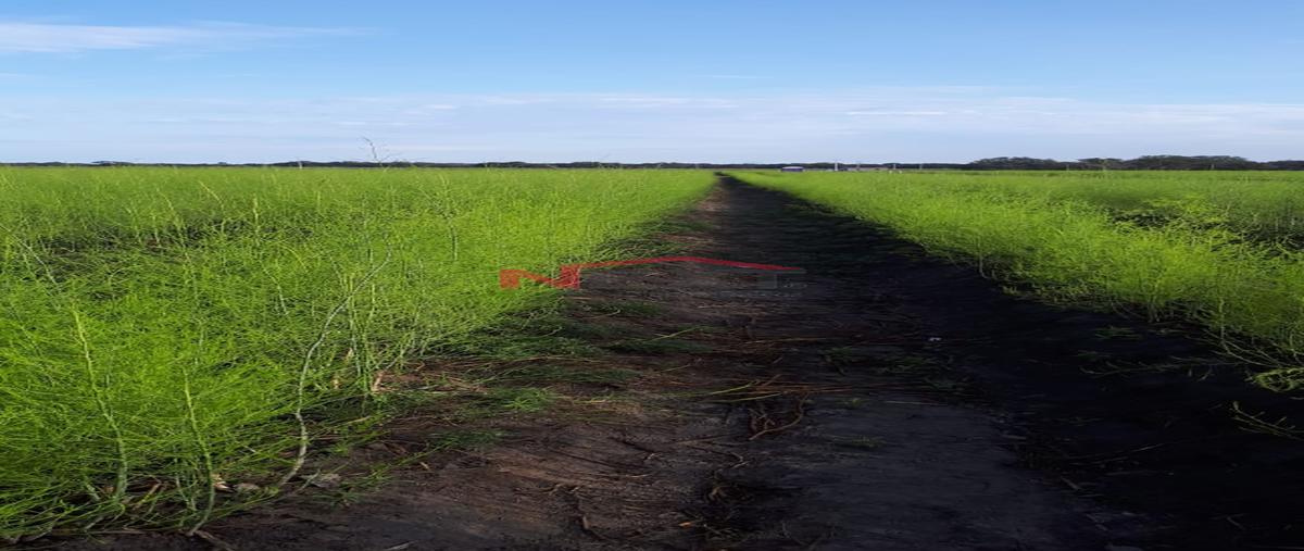 Foto de rancho en venta en ciudad acuña centro 0, ciudad acuña centro, acuña, coahuila de zaragoza, 22184822 No. 04
