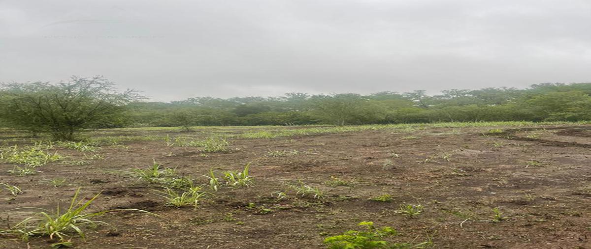 Foto de terreno habitacional en venta en  , ciudad allende, allende, nuevo león, 0 No. 04
