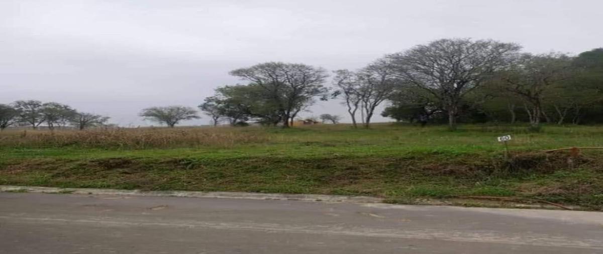Foto de terreno habitacional en venta en  , ciudad allende, allende, nuevo león, 29364589 No. 03