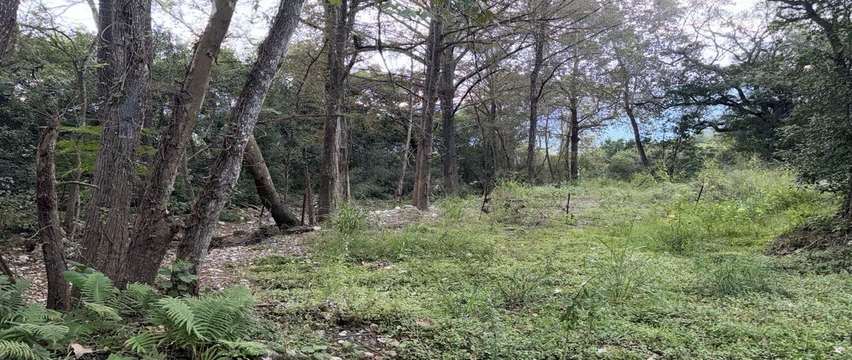 Foto de terreno habitacional en venta en  , ciudad allende, allende, nuevo león, 0 No. 04