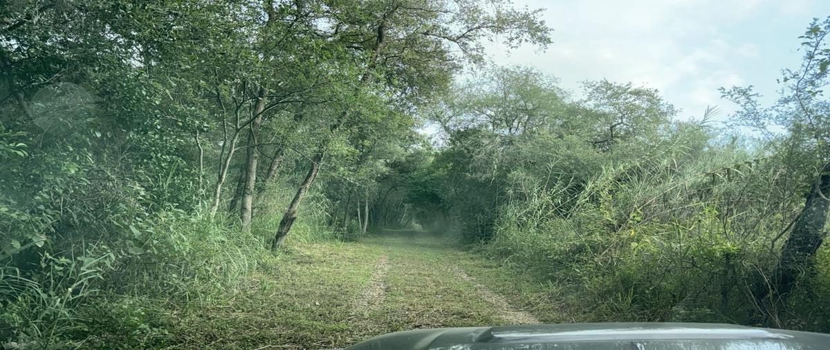 Foto de terreno habitacional en venta en  , ciudad allende, allende, nuevo león, 0 No. 05