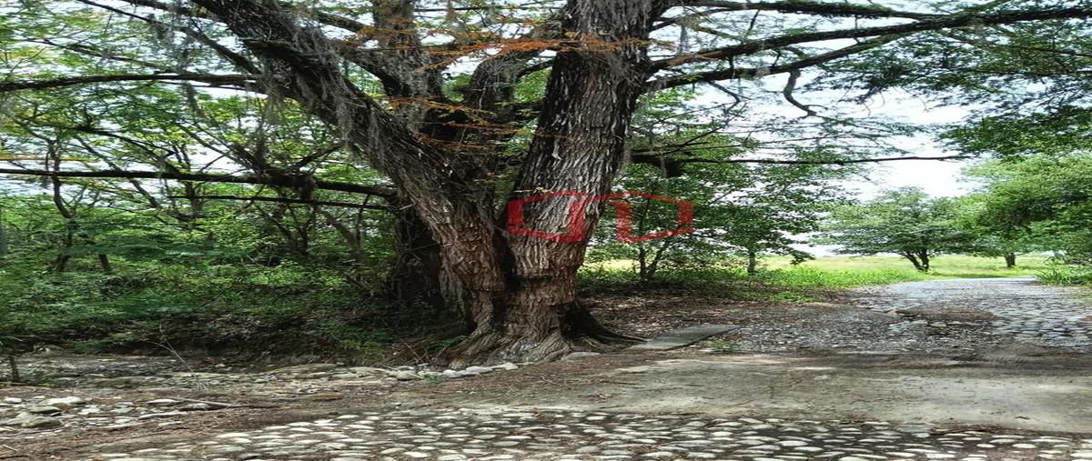 Foto de terreno habitacional en , ciudad allende, allende, nuevo león, 0 foto 03 Foto de terreno habitacional en venta en , ciudad allende, allende, nuevo león, 0 No. 03