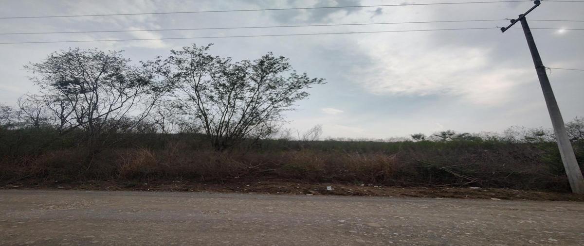 Foto de terreno habitacional en venta en  , ciudad allende, allende, nuevo león, 30198386 No. 05