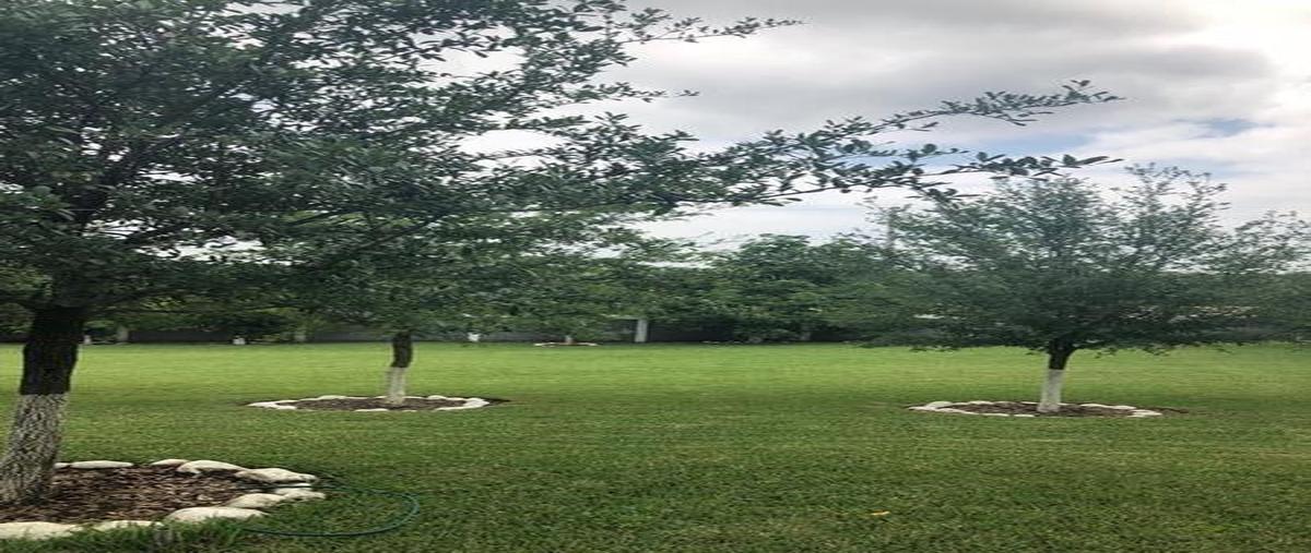 Foto de casa en venta en  , ciudad allende, allende, nuevo león, 0 No. 04