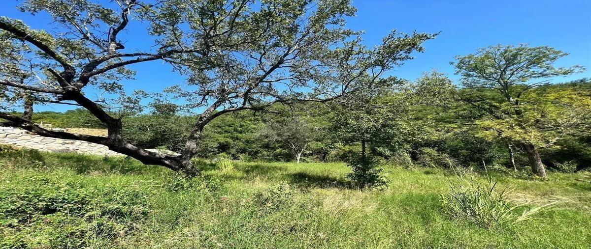 Foto de terreno habitacional en venta en  , ciudad allende, allende, nuevo león, 31356037 No. 05