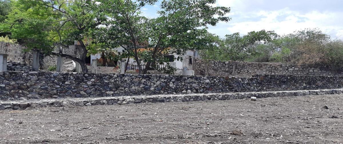 Foto de terreno habitacional en venta en  , ciudad ayala, ayala, morelos, 26623028 No. 04