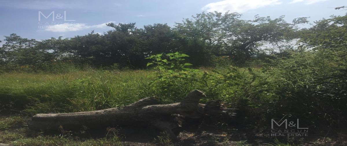 Foto de terreno habitacional en venta en  , ciudad ayala, ayala, morelos, 30328815 No. 04